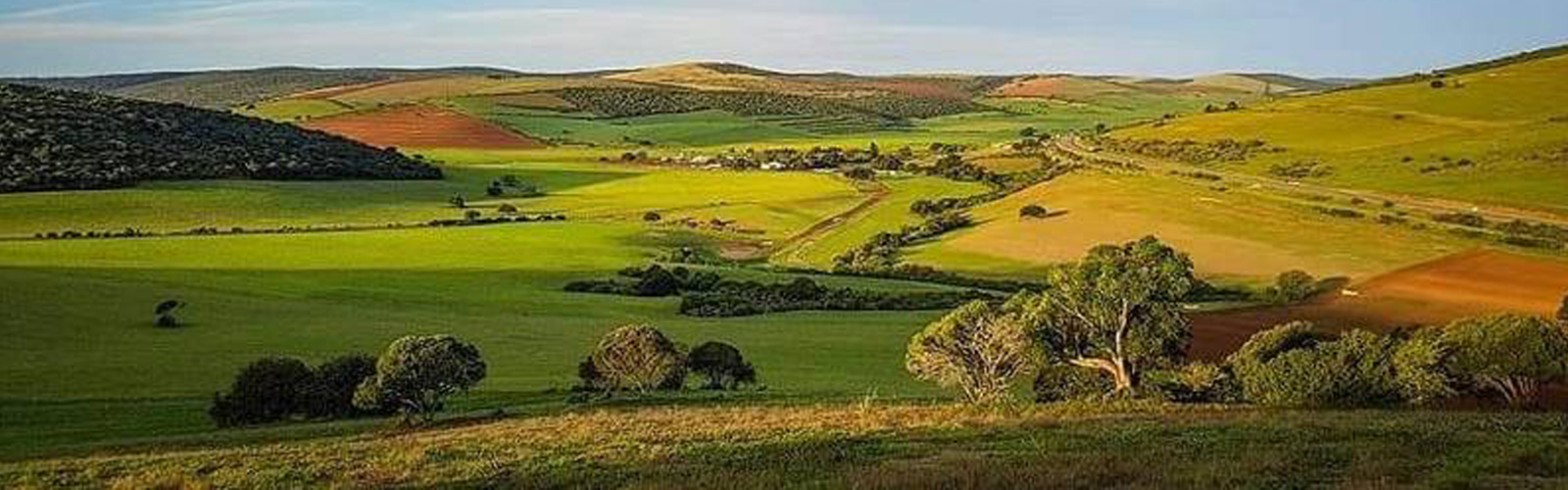 Bird's Eye View of Property